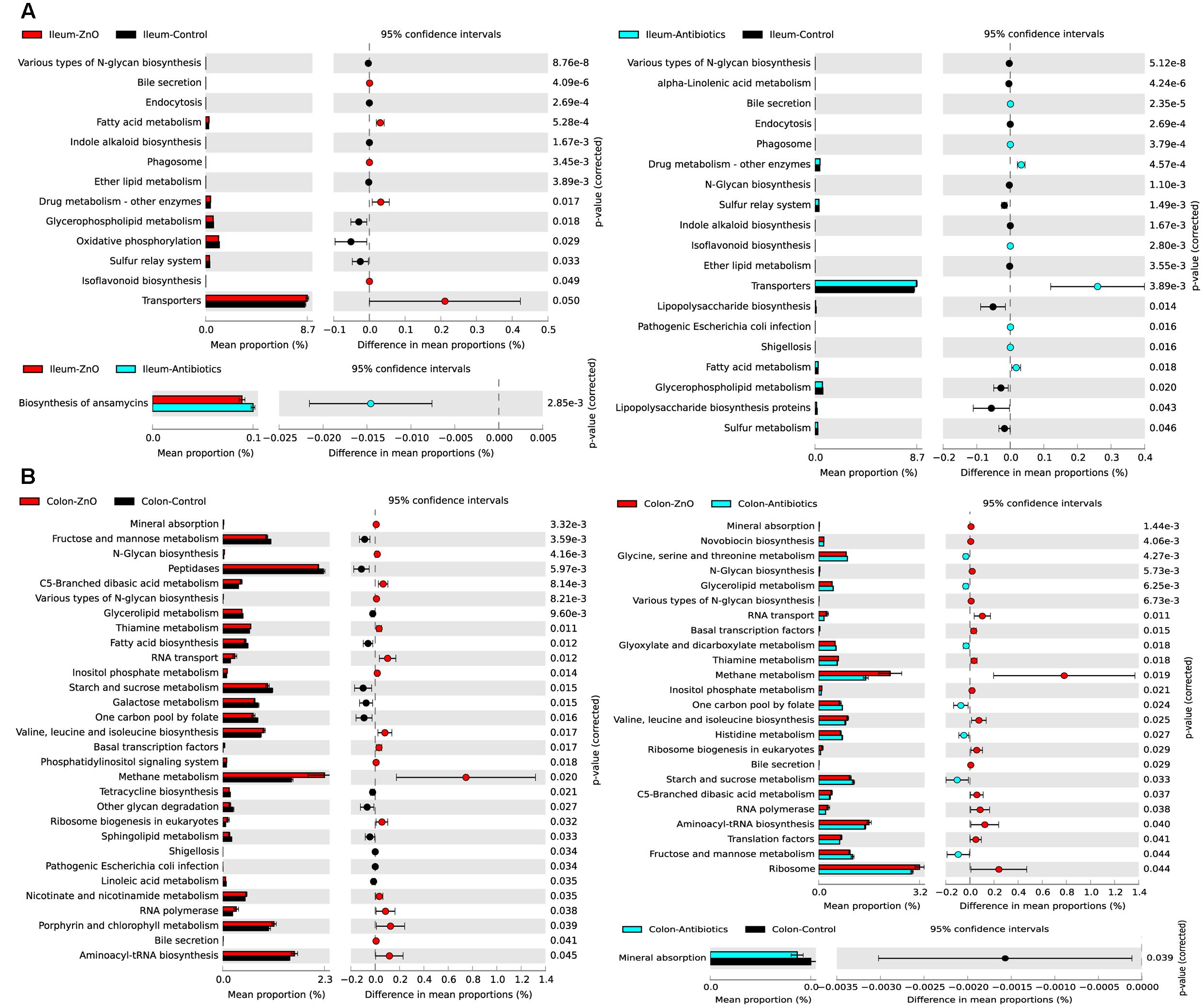 Frontiers  Importance of Zinc Nanoparticles for the Intestinal Microbiome  of Weaned Piglets