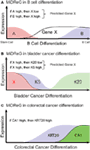 www.frontiersin.org