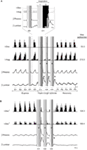 www.frontiersin.org