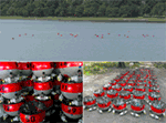 Frontiers | Swarm-Enabling Technology for Multi-Robot Systems ...