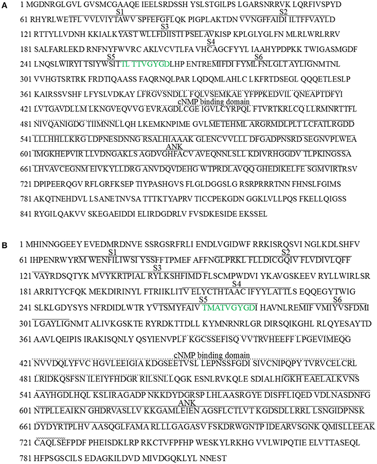 www.frontiersin.org