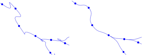 www.frontiersin.org