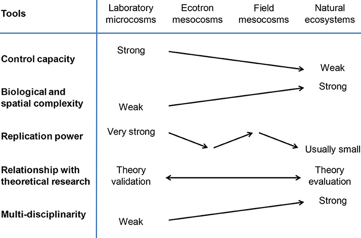 Ecosystem Dynamics Chart