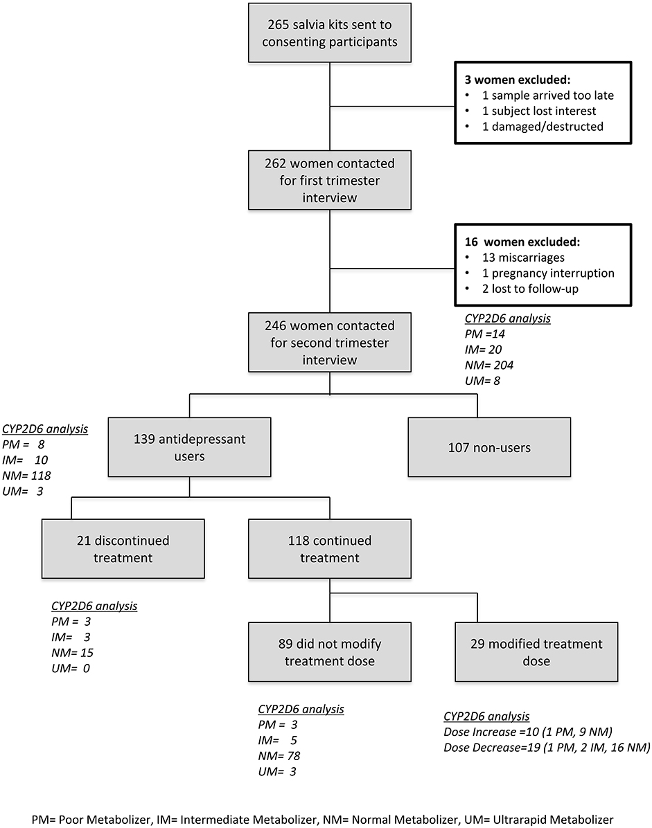 Antidepressant Conversion Chart