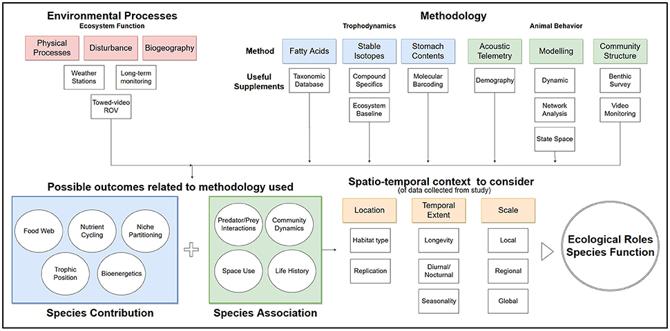 Ecosystem Dynamics Chart