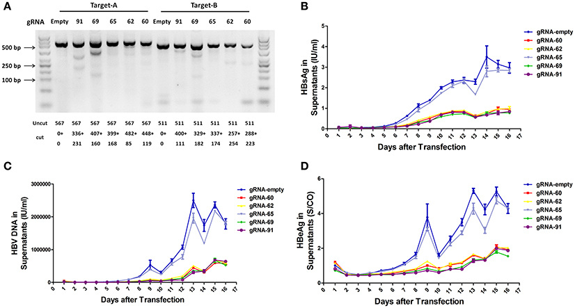 Frontiers Removal Of Integrated Hepatitis B Virus Dna Using