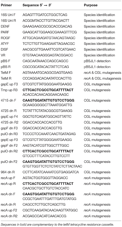 Techniques In Microbiology A Student Handbook Lammert Pdf Converter