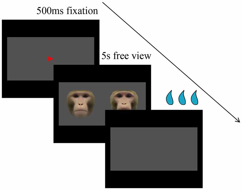 www.frontiersin.org