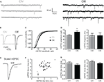 www.frontiersin.org