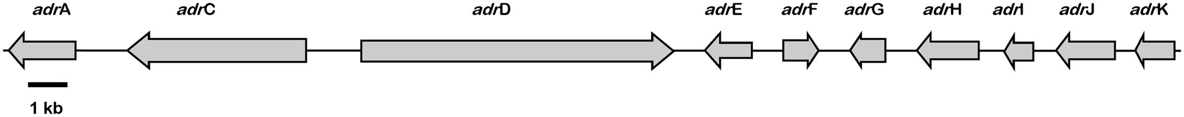 www.frontiersin.org