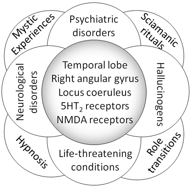 NDE: Near Death Experience and AWARE studies: Proof Of The Soul