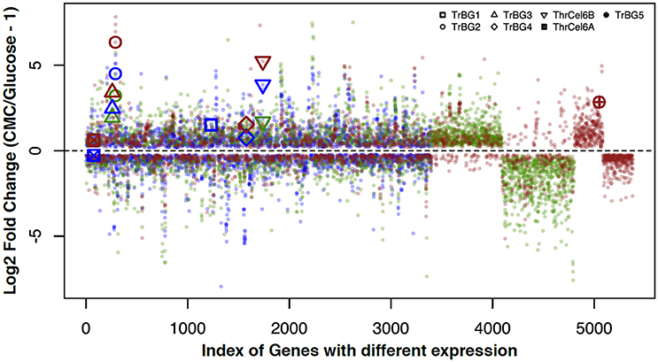 Frontiers | The Hybrid Strategy of Thermoactinospora rubra YIM 77501T ...