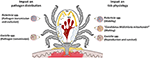 www.frontiersin.org