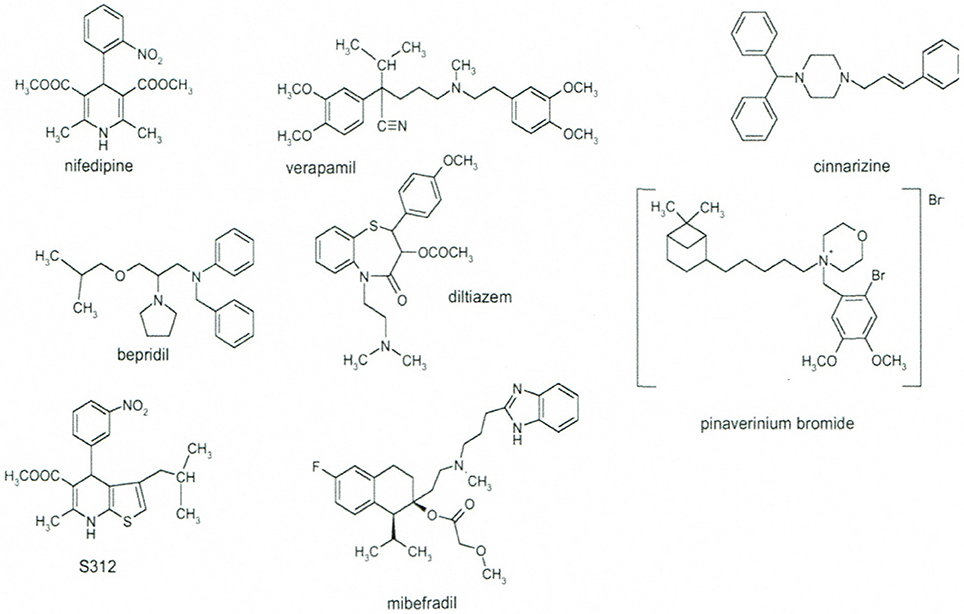 Calcium Channel Blocker Equivalency Chart