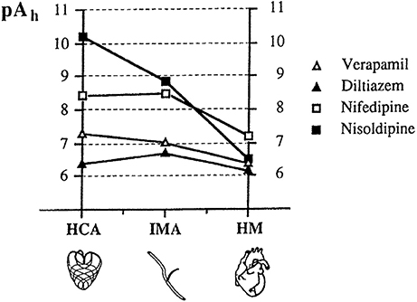 Calcium Channel Blocker Dose Comparison Chart