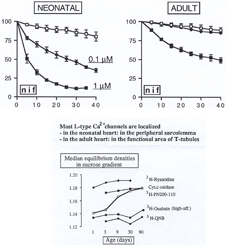 chloroquine resistance thailand