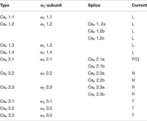 Calcium Channel Blocker Equivalency Chart