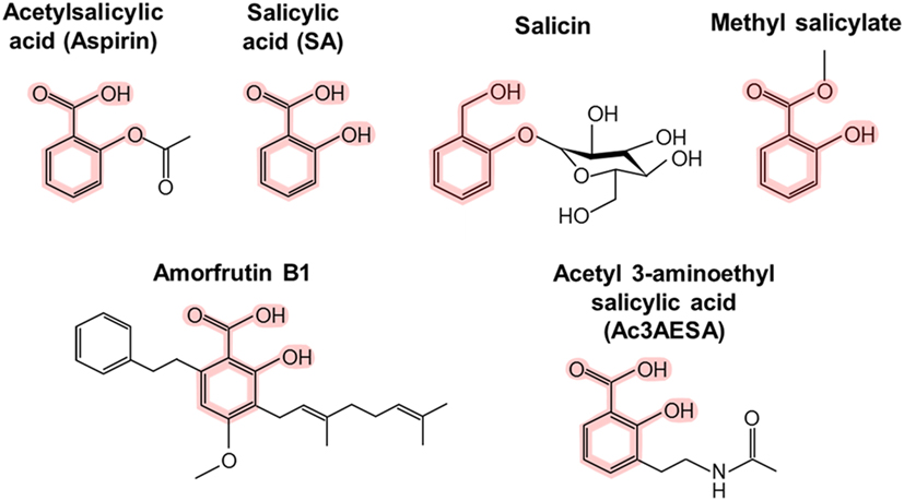 Figure 1 - Chemical structures of salicylic acid (SA) and its man-made and ...