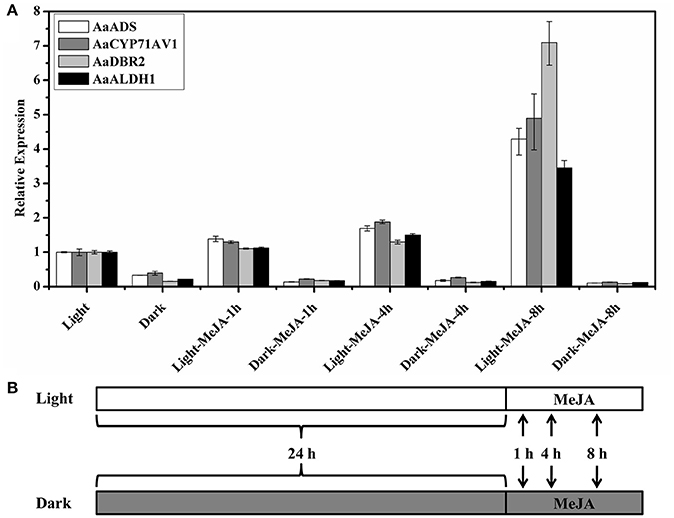 Frontiers | Transcriptome Analysis of Genes Associated with