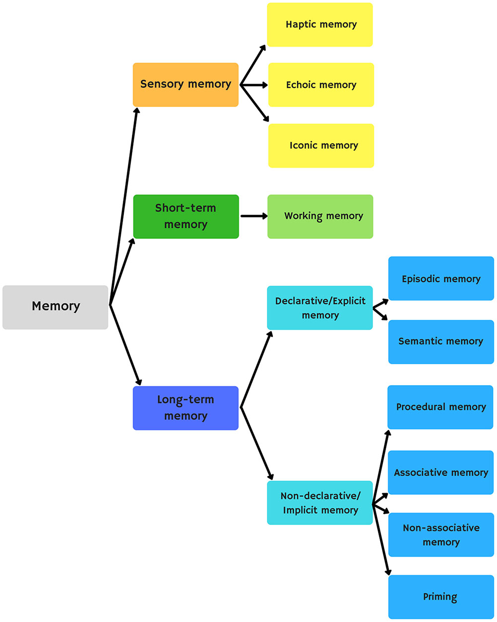 Types of Memory  Short Term & Working Memory, Long Term Memory