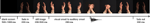 www.frontiersin.org