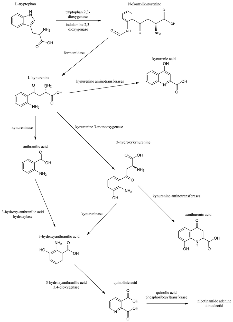 Paroxetine zāles