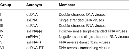 Frontiers Protein Protein Interactions In Virus Host Systems Microbiology