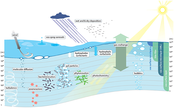 Perspectives and Integration in SOLAS Science