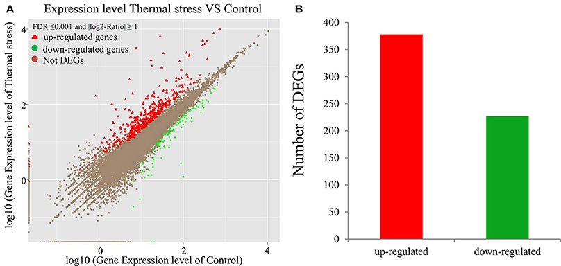 High Level expression of Genes. Residual Thermal stress. Gene expression profile. Expression Genes CFX 96. Expression levels