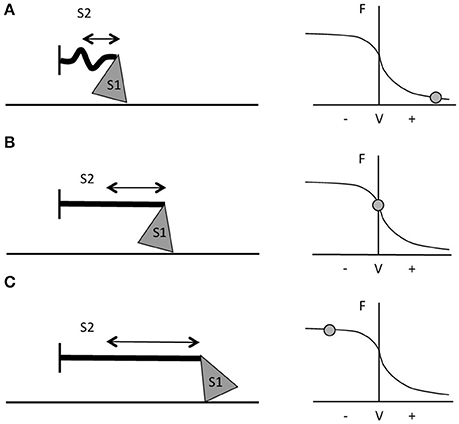 Eccentric Exercise Vs Concentric