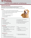 Frontiers | Evaluating Checklist Use in Companion Animal Wellness ...