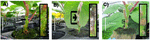 www.frontiersin.org