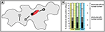 www.frontiersin.org