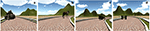 www.frontiersin.org