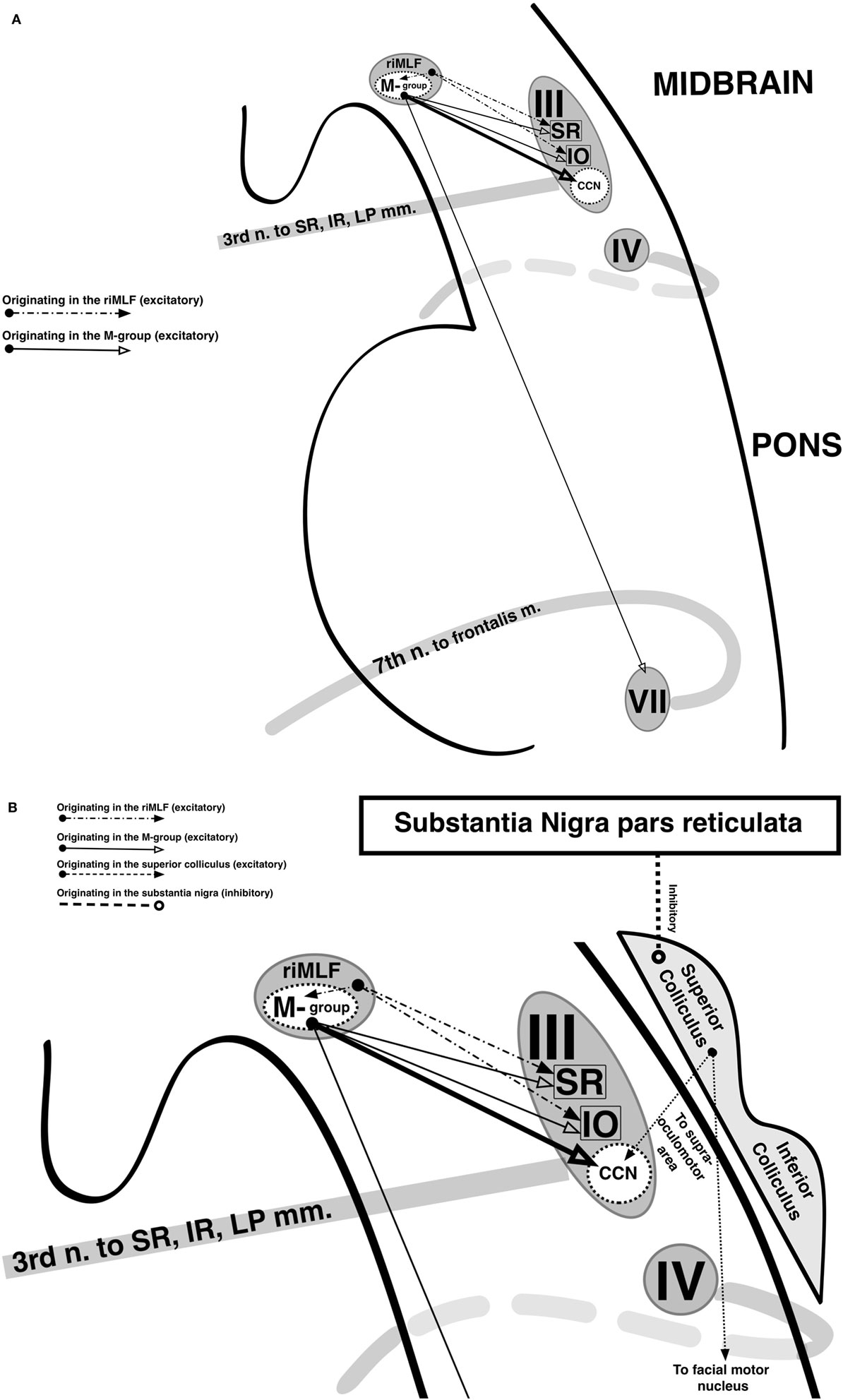 www.frontiersin.org