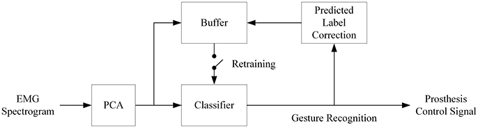 www.frontiersin.org