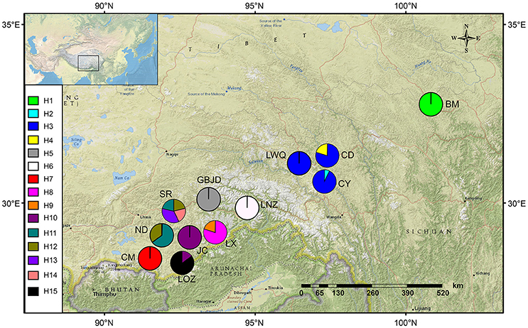 Frontiers | Population Genetic Differentiation and Taxonomy