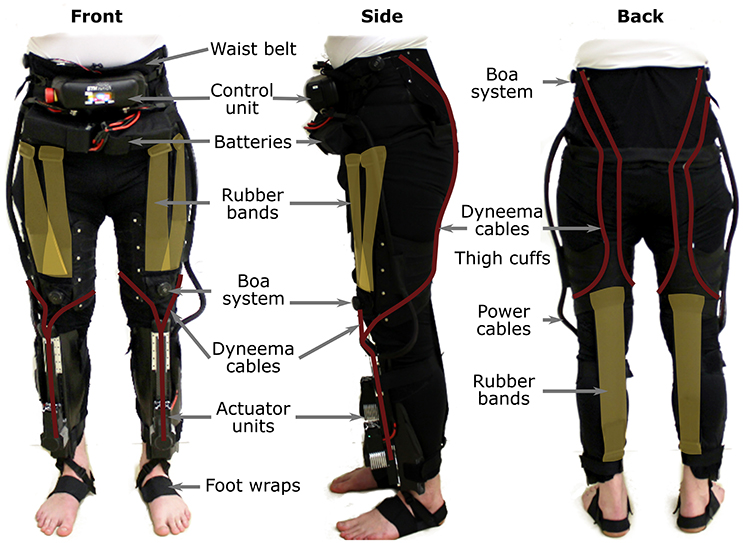 Figure 3. The Myosuit resembles a pair of pants that include a waist belt a...