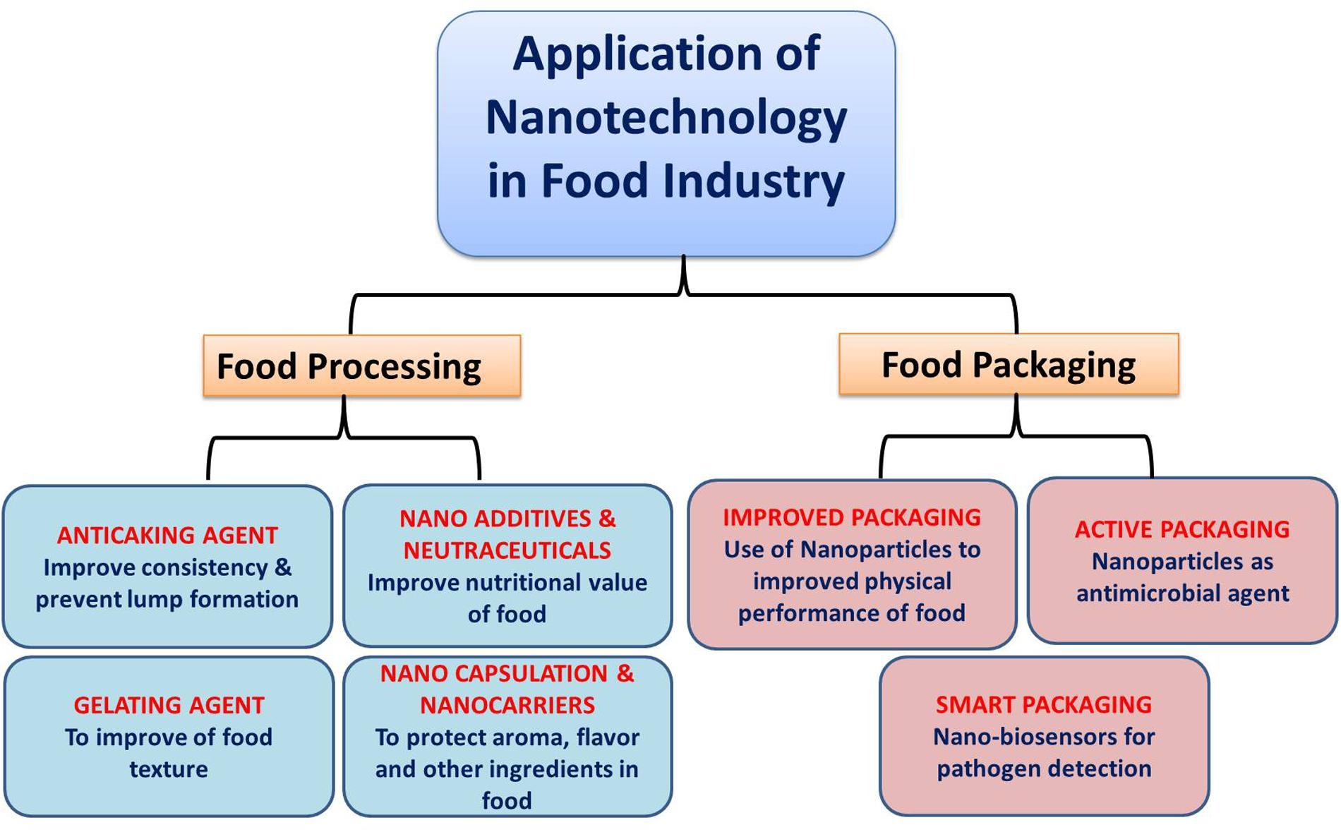 research paper on nanotechnology in food industry