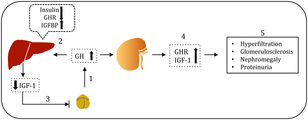 www.frontiersin.org