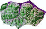 www.frontiersin.org
