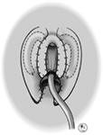 www.frontiersin.org