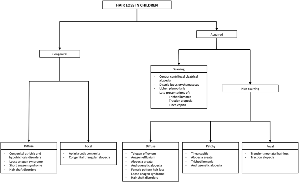 Chart Thinning Guidelines