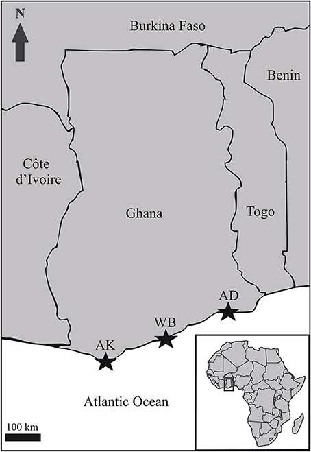www.frontiersin.org