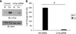 www.frontiersin.org