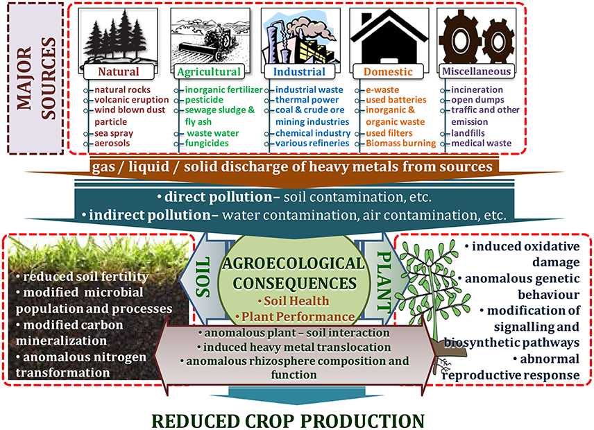 sources of soil contamination