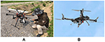 www.frontiersin.org
