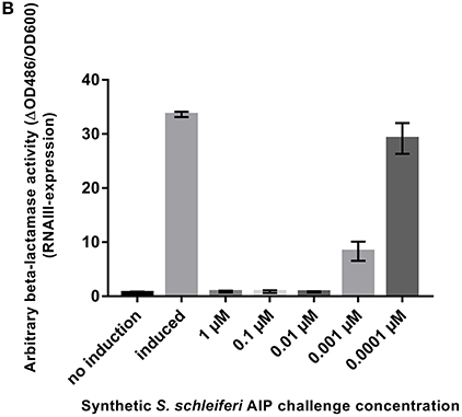 Frontiers  Cross-Talk between Staphylococcus aureus and Other  Staphylococcal Species via the agr Quorum Sensing System