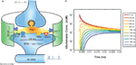 www.frontiersin.org