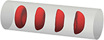 www.frontiersin.org